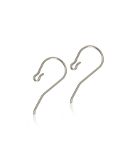 Blomdahl Safety Ear Hook Titan