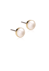 Blomdahl Bezel Pearl white örhänge gold titan 