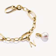 Thomas Sabo Charm-hängsmycke bokstaven N Connect guldpläterad 