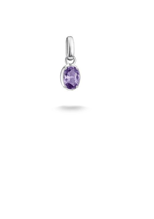 Thomas Sabo Charm-hängsmycke födelsesten februari connect silver