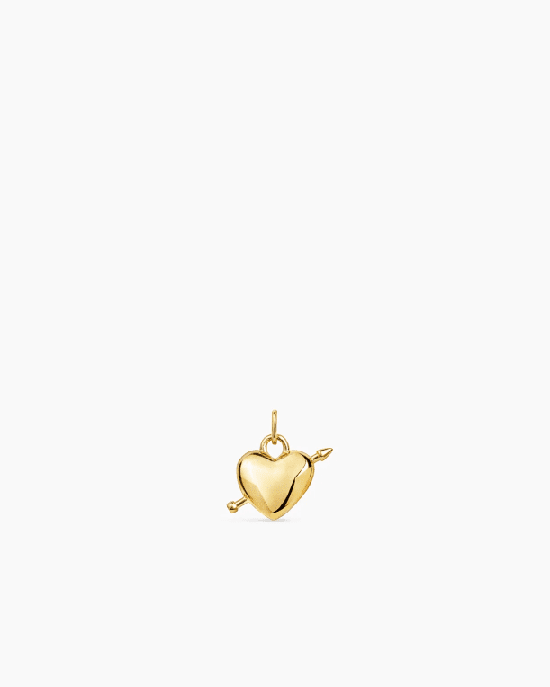ANI Heart Arrow Charm guldpläterad silver