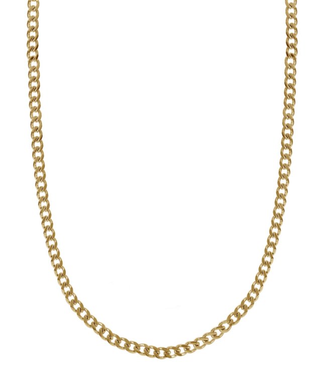 Arock Leo halsband pansar 4 mm brad guldpläterat stål